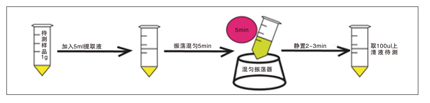 飼料中嘔吐毒素?zé)晒饪焖贆z測(cè)試紙條