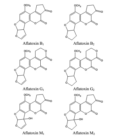 黃曲霉毒素結(jié)構(gòu)