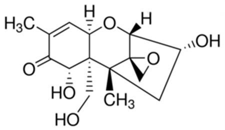 嘔吐毒素