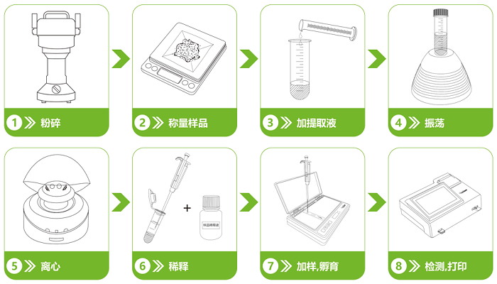 中藥材甲萘威熒光定量快速檢測(cè)卡檢測(cè)流程